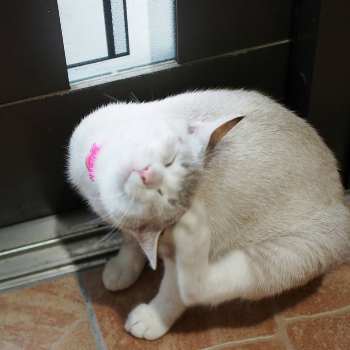 8f9e2ce3 3cd4 46c8 ae5d 0e83a1e1cd16