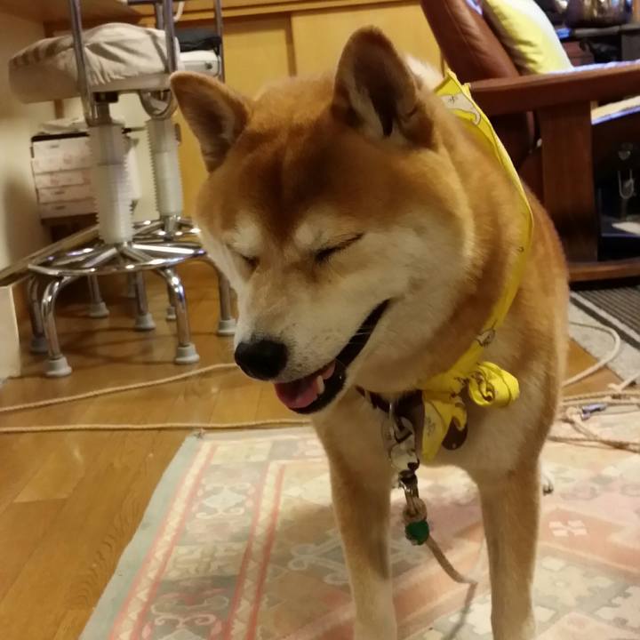 8f9e4c97 bbb7 4ac4 a16b 9f7a7605c465