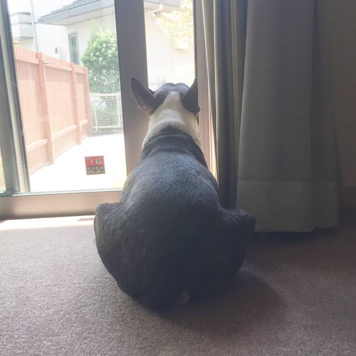 8f9f79a4 6255 4886 8864 6bdba894552e