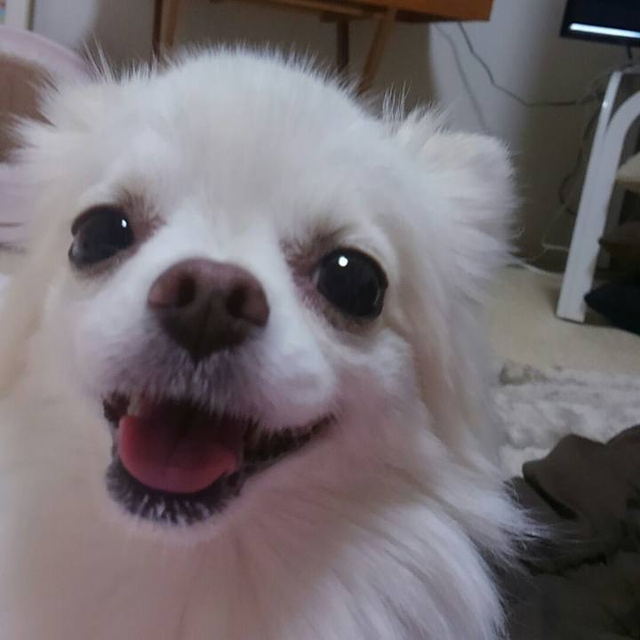 8f9f8525 1c6f 431e bbec ade8a173958b