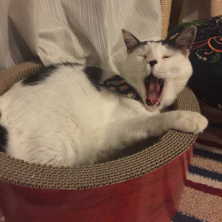 8fa00724 da35 44e8 88bc 7481670365cc