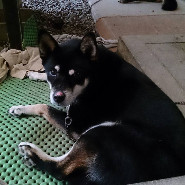 8fa02167 3ea9 4608 a552 980aad3e367a