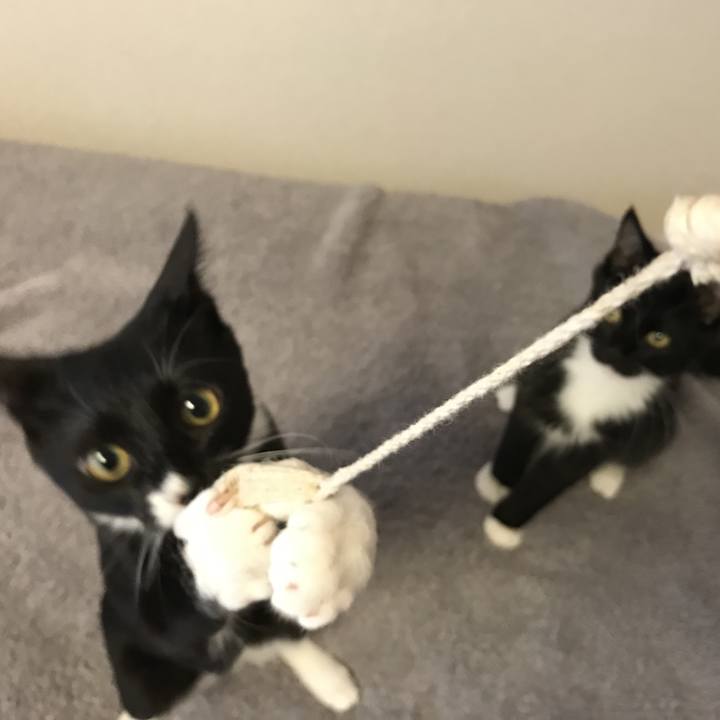 8fa05bc5 c71c 45db 9af6 91b05e0f9cec