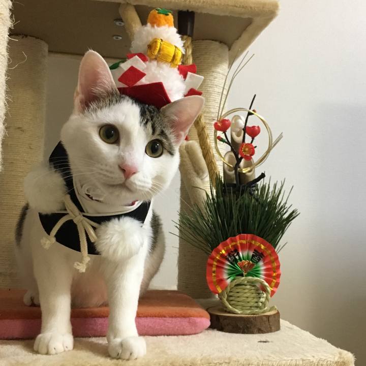 8fa05e4f 271a 431f b462 d42bc1c151b6