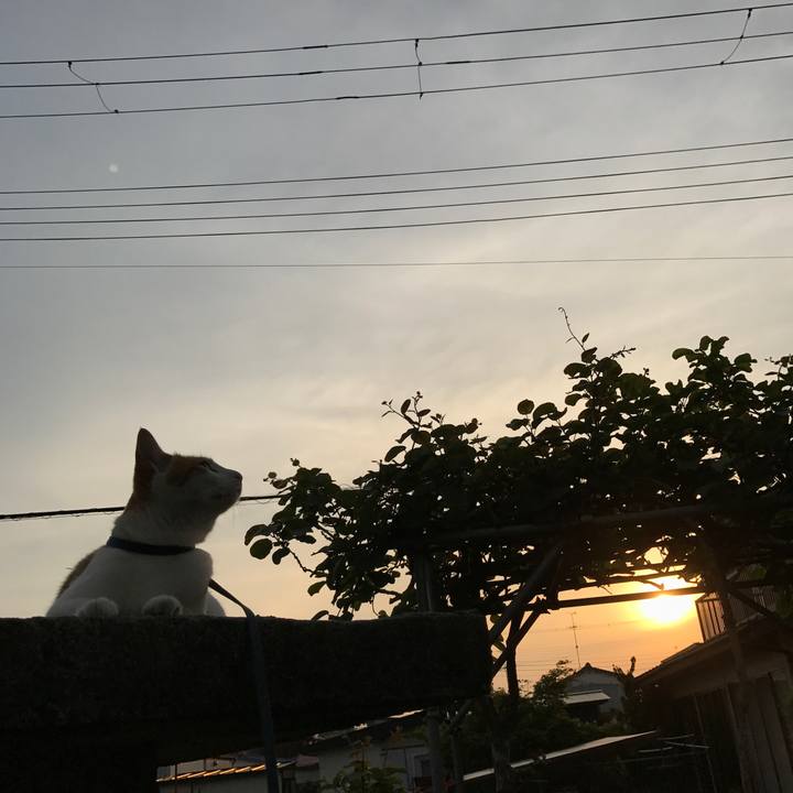 8fa17d0c d180 4d5e 83ca 0ce34dae0bac