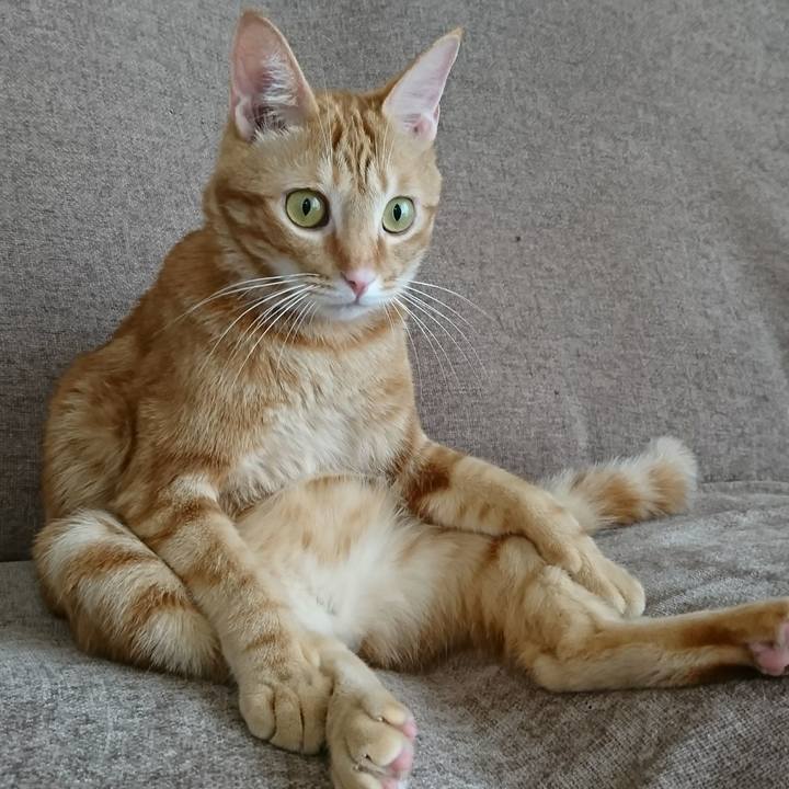 8fa17da0 d22c 4e63 9e7e d37bdcf1ccc6