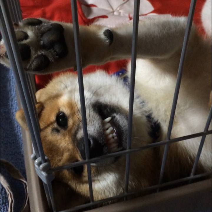 8fa22b2b 69a1 4763 ab8b 1698c8e401c0