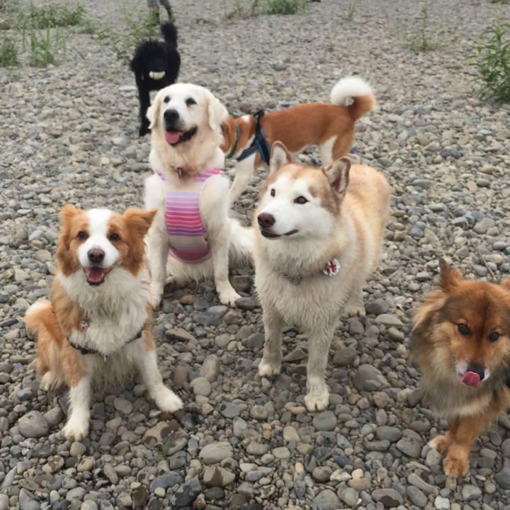 8fa2a992 73d2 4100 b741 deb510e8aad6