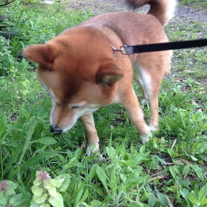 8fa2eb4a 7be8 4a5b a546 f9bf8c567c3f