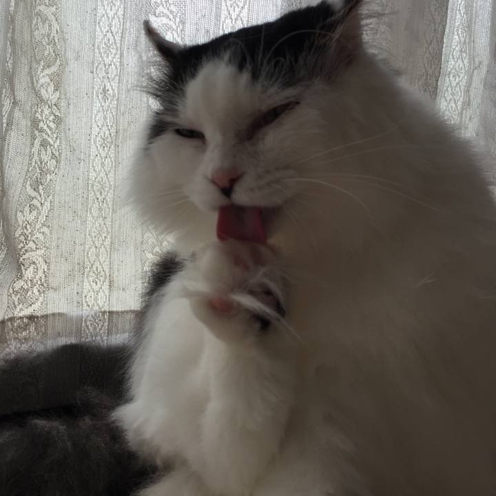 8fa2ec6b c604 4fe4 a5ee 5c02576220cb