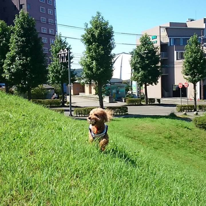 8fa30f2b 550e 4ce6 bd57 1712ce64d1bb