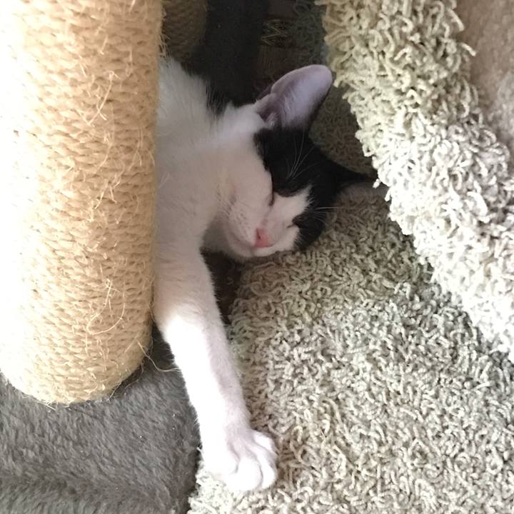 8fa37241 4102 4498 b08c 8b26803191f1