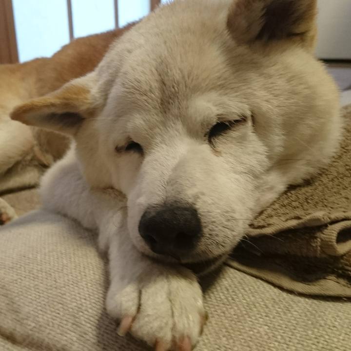 8fa41e56 e492 40d1 8834 723985fb43c1