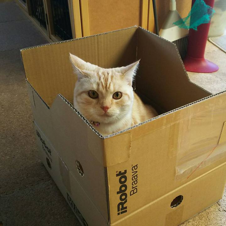 8fa4c23f 5ed9 4eee af0c 1bf0df8bebe9