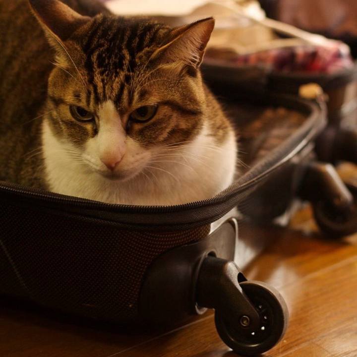 8fa4f329 31b4 4710 80f9 8950a5d40517