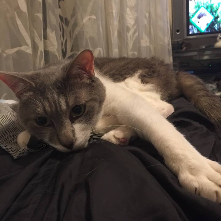 8fa54f98 d70f 41ac 82de f9d6519553db