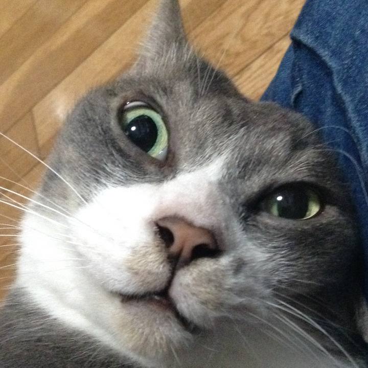 8fa55bd8 24cc 41fa 8ba2 0a345548ba6a