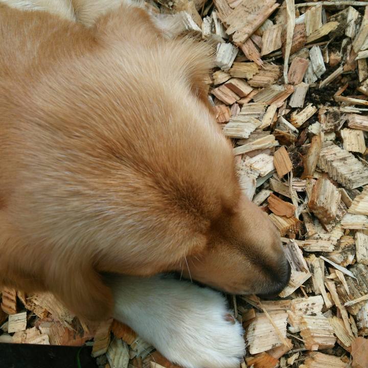 8fa57316 f62b 4c20 814a 9db41d231da6