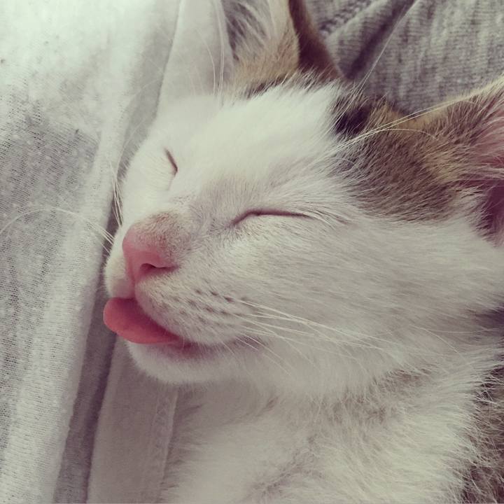 8fa582a3 4150 46f2 b01e 1414bce250bb