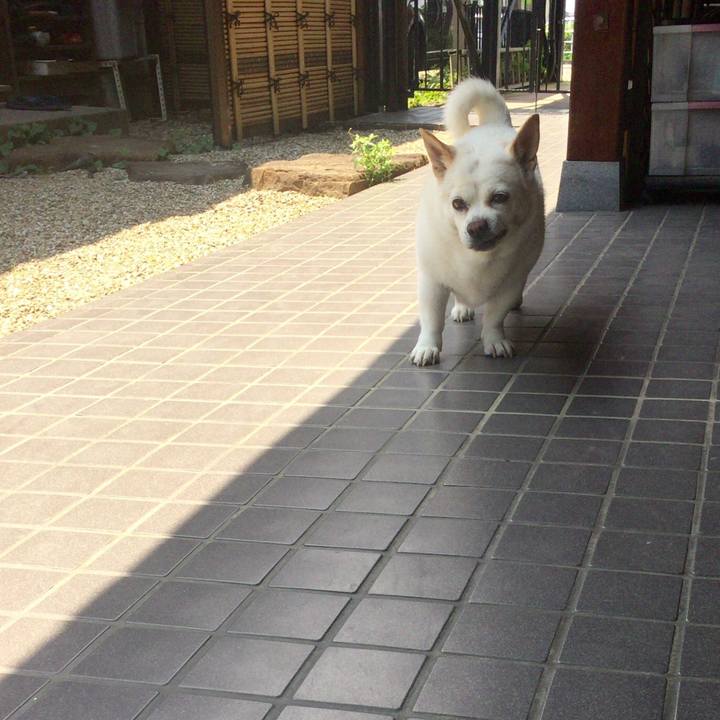 8fa5a9f2 47d2 4314 bbaa cdc678510653