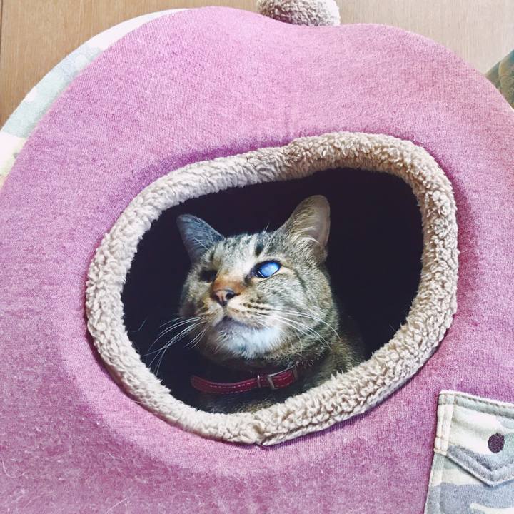 8fa5b941 63e1 4f8c 988b 8d1831d6c40b