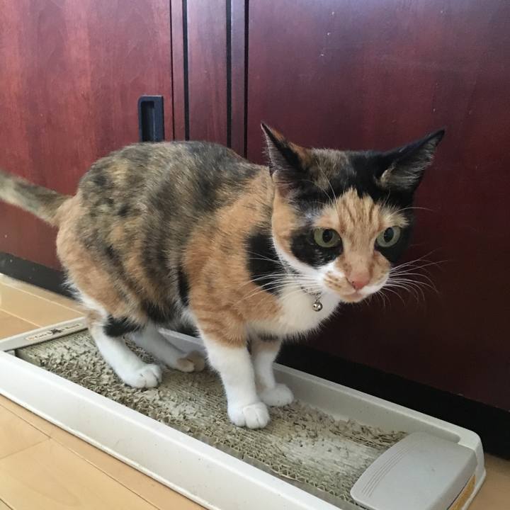 8fa5f7bc 5417 4730 a00e 82025f835fcd