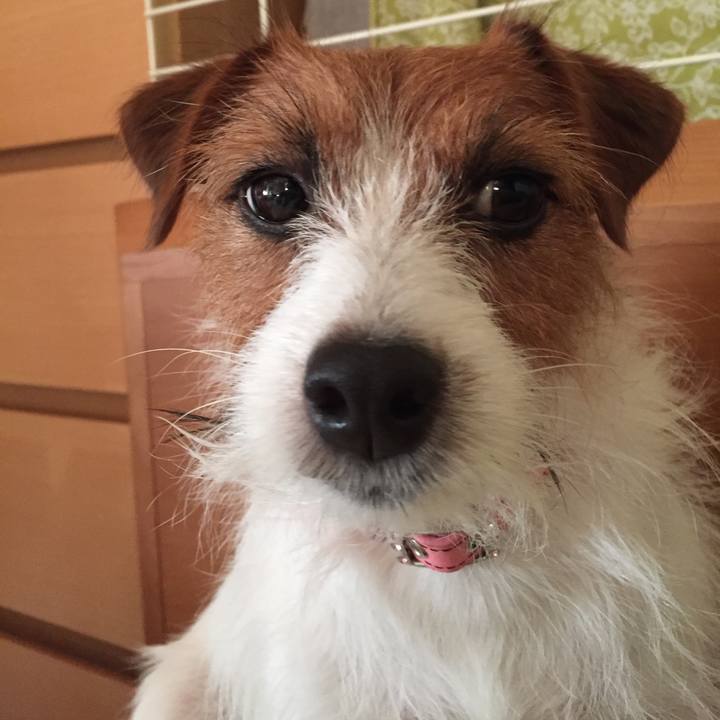 8fa60721 7e77 4366 b9f1 541b82a51c73