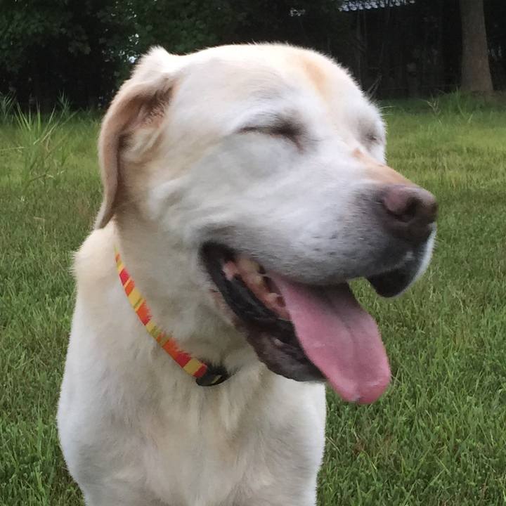 8fa6827b 9ab4 4ffe 977e 60c22053934d