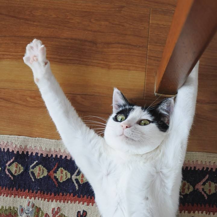 8fa797c1 1f12 4612 a820 3c8b81e71269