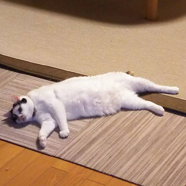 8fa7aa0d a39d 41af a9de dc8c12b51fd2