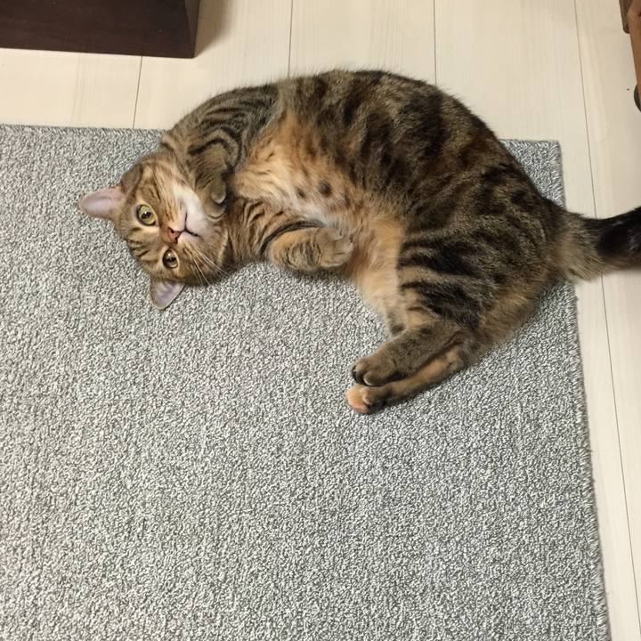 8fa7e357 49c6 4995 83b7 34b667069196