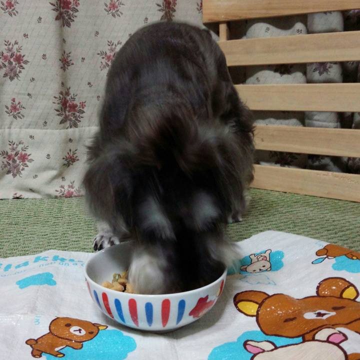 8fa7fc73 fd10 402d 9b8c 14b000519da5