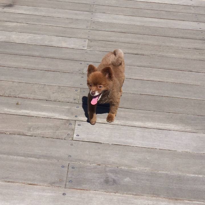 8fa80883 5da2 4530 b6c8 e1d7e8a09b89