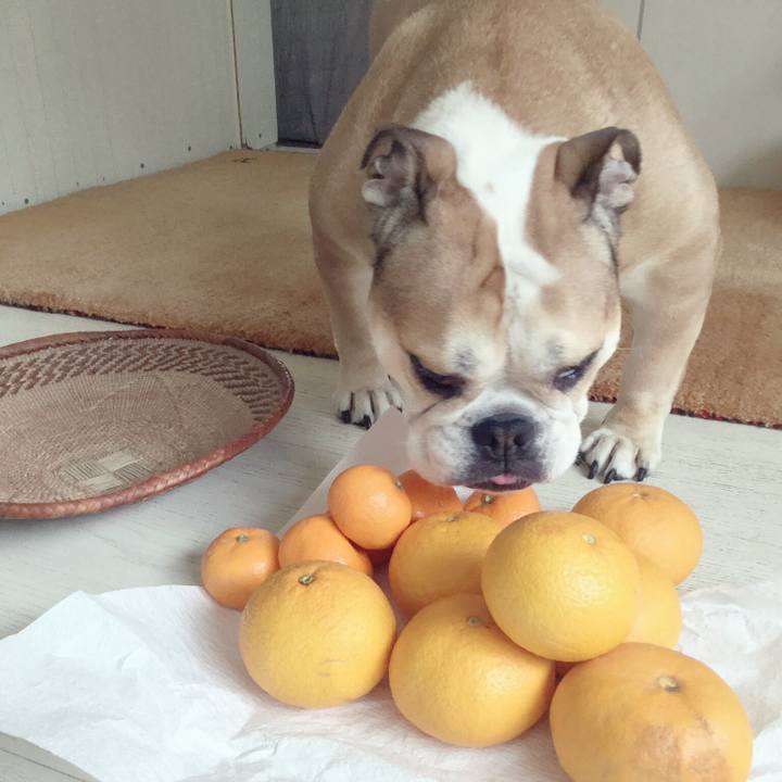 8fa882d0 d5a8 435f 88d0 3824d2a24d92