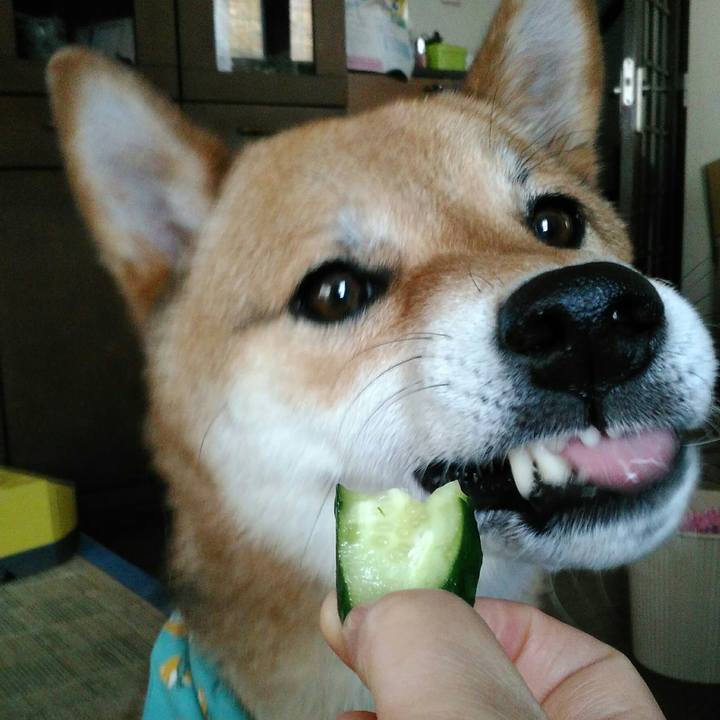 8fa8c1e1 4b92 4fac a5ac 4007372949d7