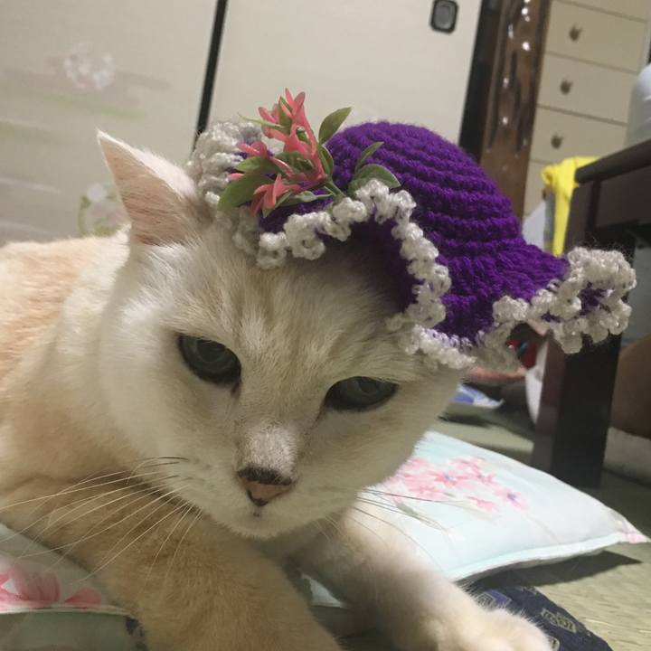 8fa8de05 c2ce 4106 850d 612284290cf7