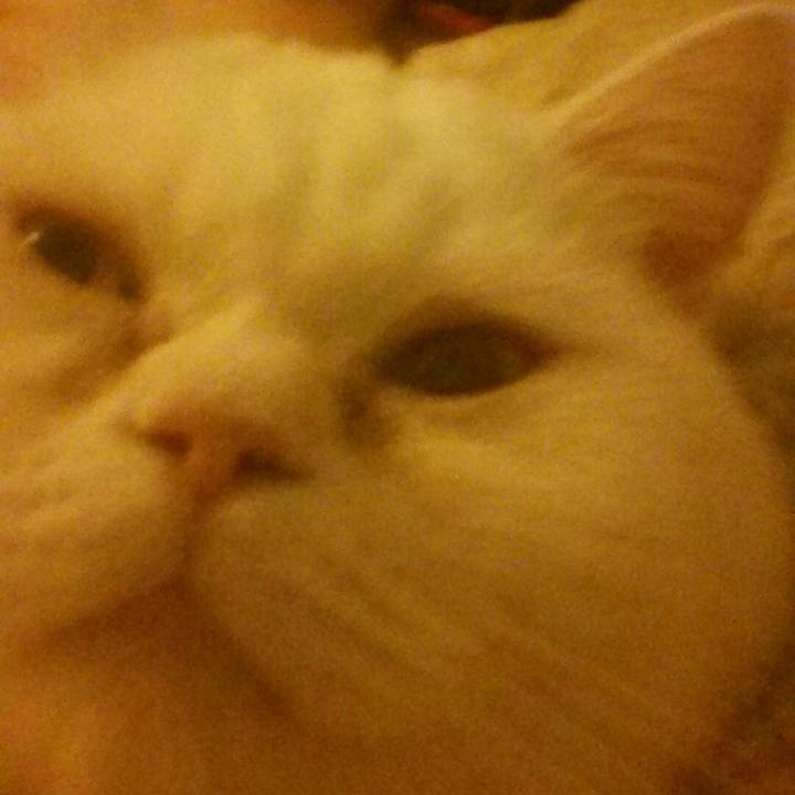 8fa993a4 684f 4a16 bf34 6abe91b11bd2