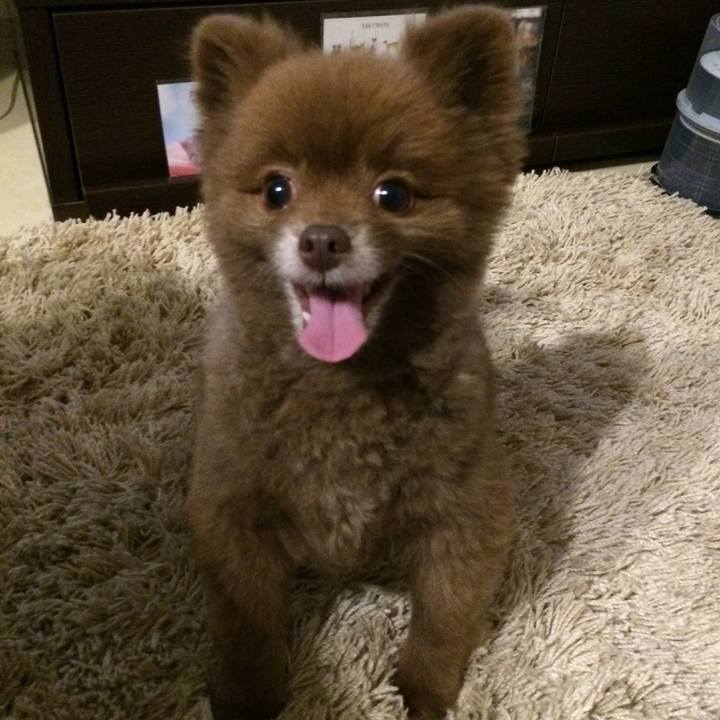 8fa9a955 f521 47d2 adbf b6ed6138894e