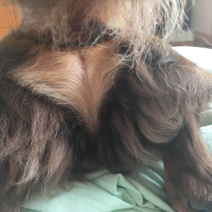 8fa9dfb0 11a1 41f0 86a1 2ebab94f9cf9