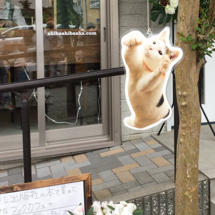 8fa9f78a ad93 4a68 9274 08d5a2a35618