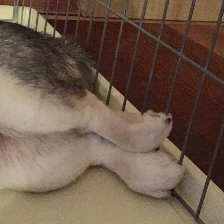 8faa36fd 77b1 400d 8d2f 61b3f9549a51