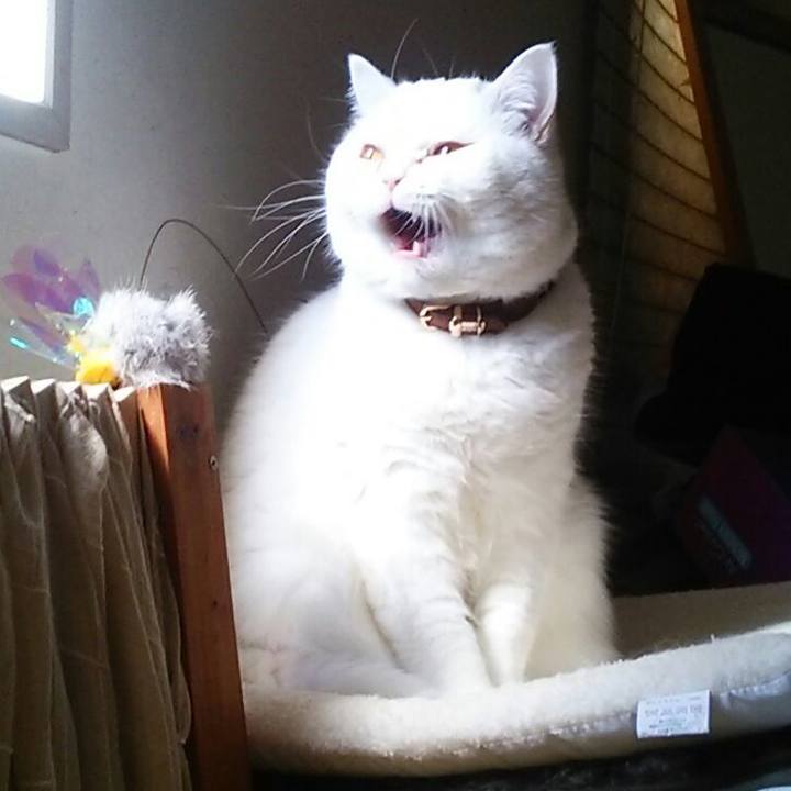 8faa62f4 48c1 4fed 9269 9c4ff4522f2b