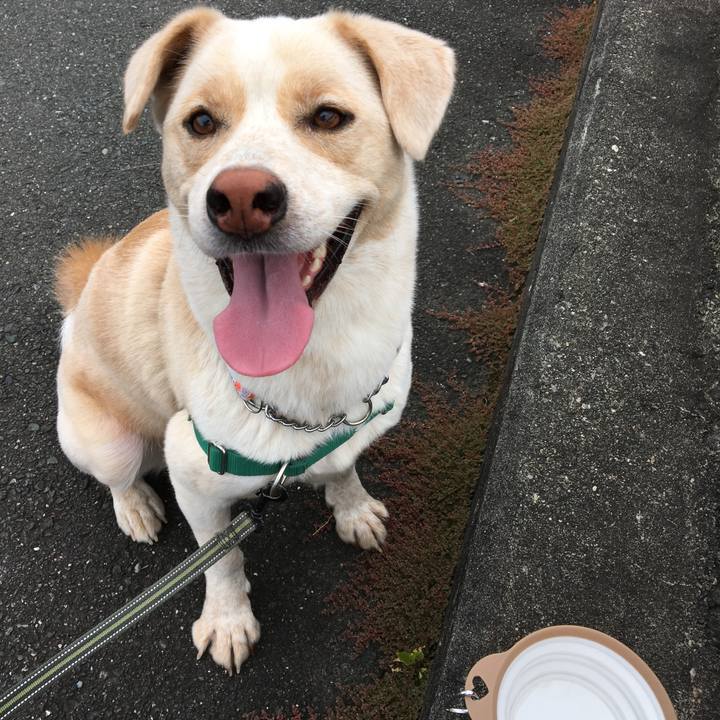 8faa6c90 dd1f 4219 a9c4 ce7a0e50fb6c