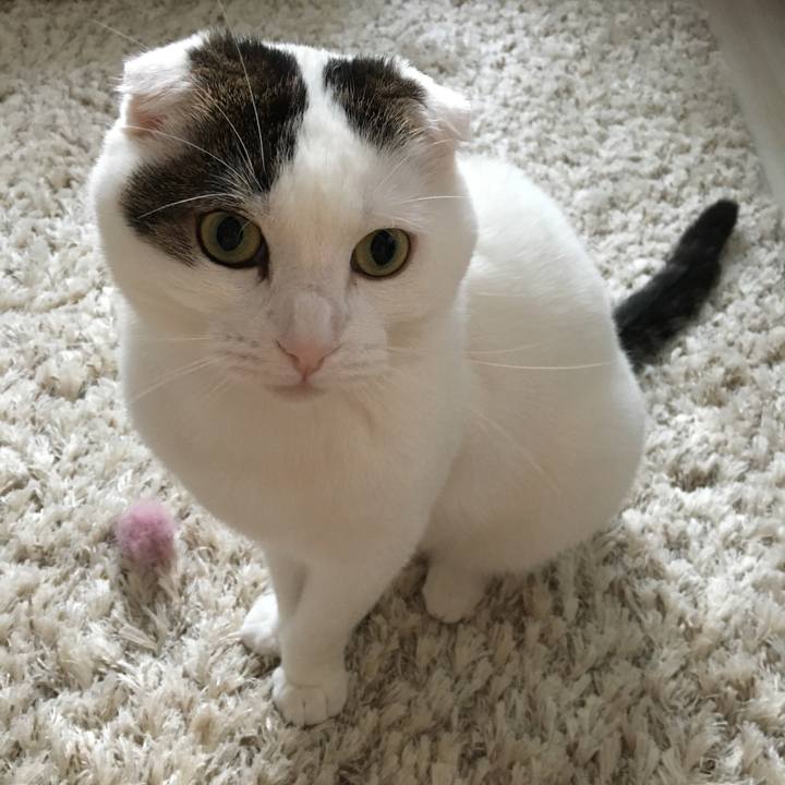 8fab792c 8fa7 4624 9f58 fc54e2c2029b