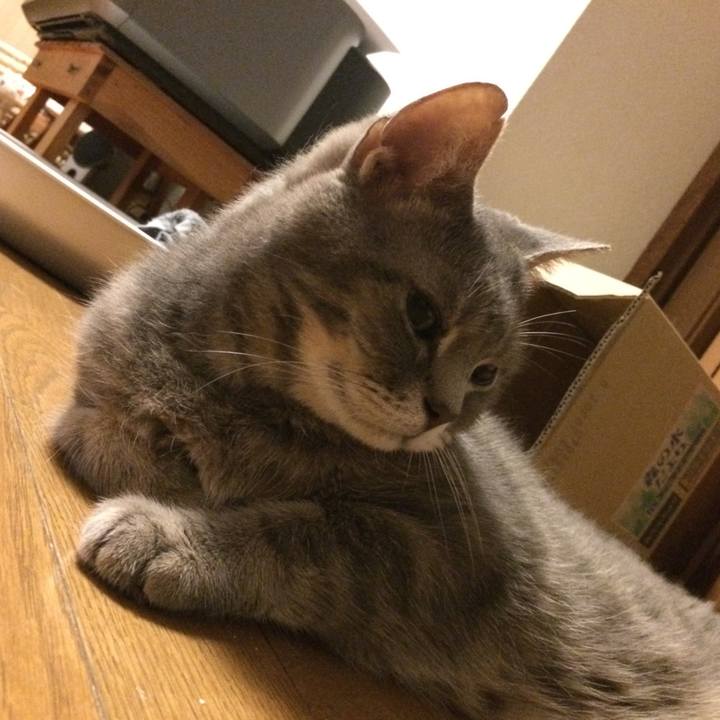 8fac8817 0532 432b bada caa5ad12693d