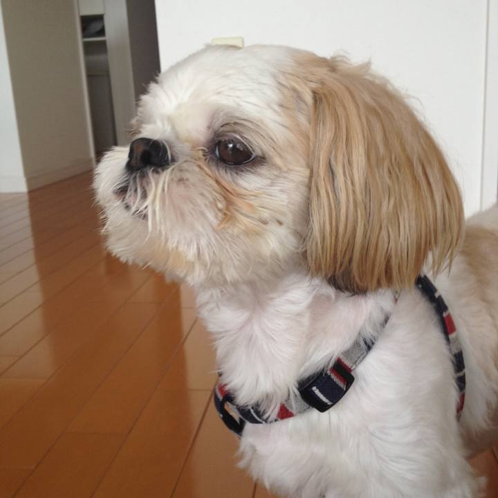 8faca306 7e6d 41dd 8343 cff86767c671