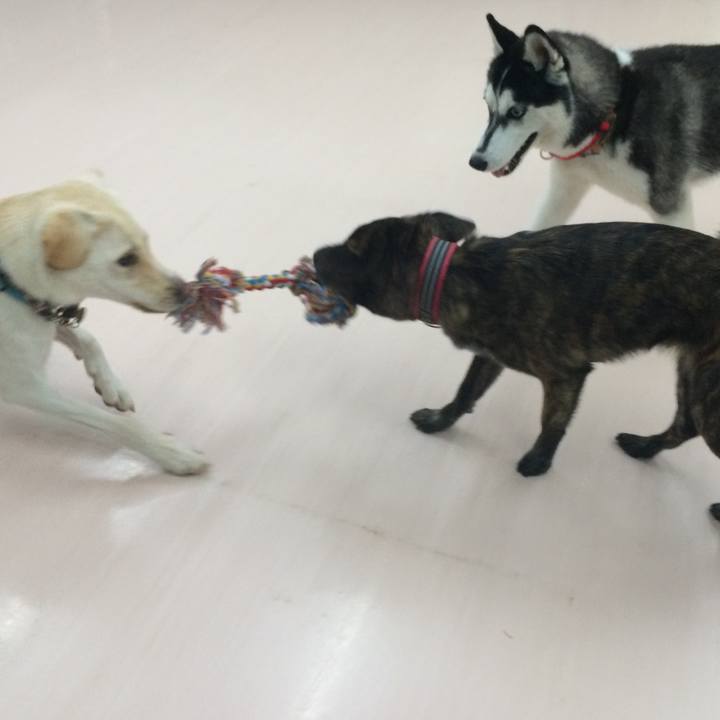 8fad19f5 55ba 4eac b46e e789e9c5d448