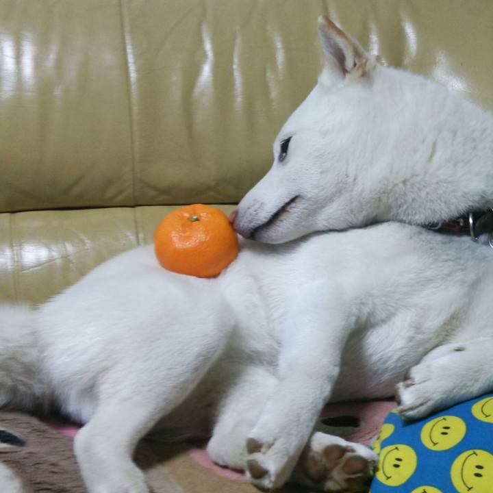 8fad4648 c788 4559 95c2 bf84b35dae1f