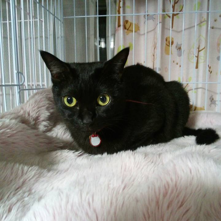 8fad5032 dd07 4013 aa5e b237d32bd9d3