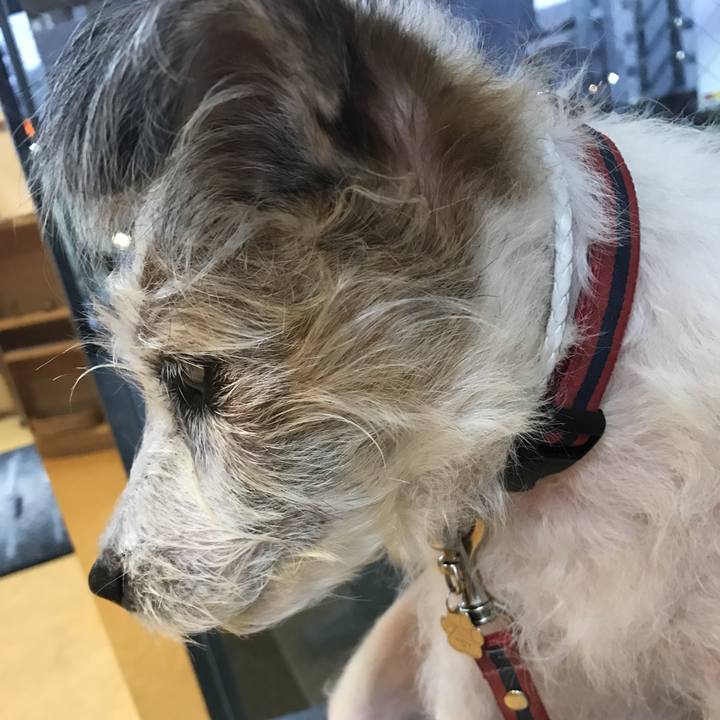 8fad9553 c2ca 4066 b2a7 72f419002f31